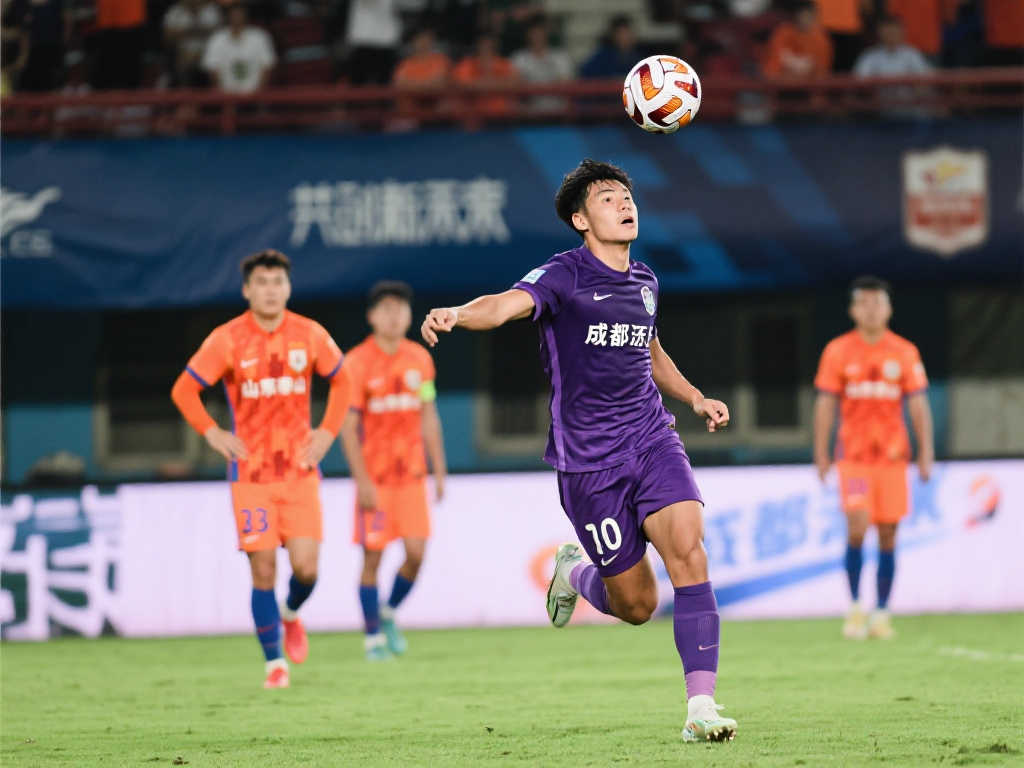 斯佳辉的竞 斯佳辉的竞